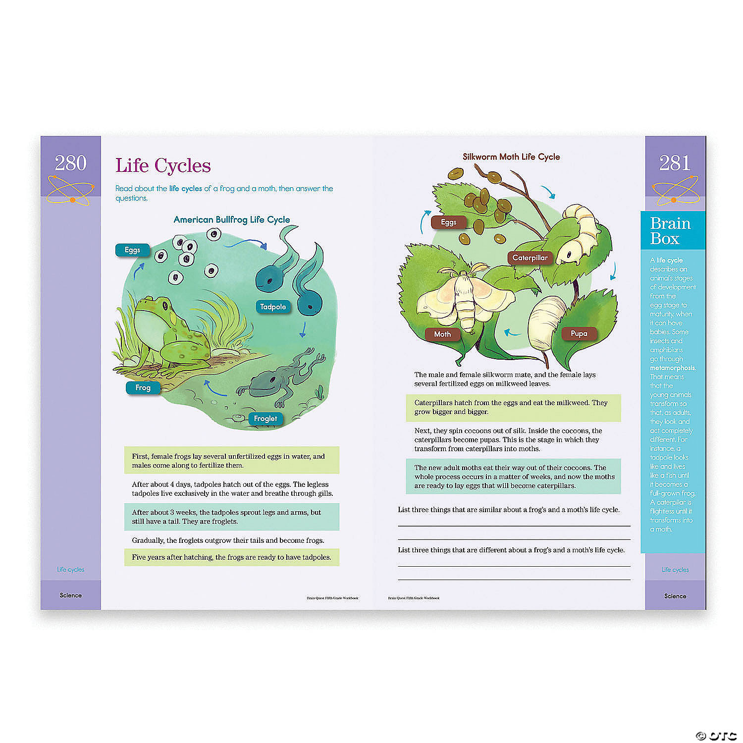 MW Brain Quest Workbook: Grade 5 4 MW Brain Quest Workbook: Grade 5 - Image 2