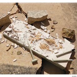 MW Dig It Up! Dino Model: T-Rex -MindWare SHOP dig it up dino model t rex68412 a02