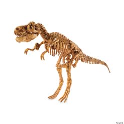 MW Dig It Up! Dino Model: T-Rex -MindWare SHOP dig it up dino model t rex68412 a03