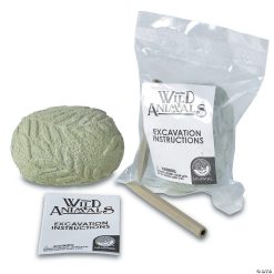 MW Dig It Up! Discoveries: Wild Animals -MindWare SHOP dig it up discoveries wild animals13788230 a02