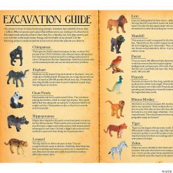 MW Dig It Up! Discoveries: Wild Animals -MindWare SHOP dig it up discoveries wild animals13788230 a03