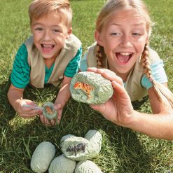 MW Dig It Up! Discoveries: Wild Animals -MindWare SHOP dig it up discoveries wild animals13788230 a04