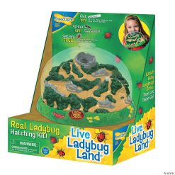 MW Ladybug Land