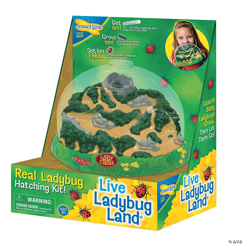 Ladybug Land MW Ladybug Land -MindWare SHOP ladybug land13831732