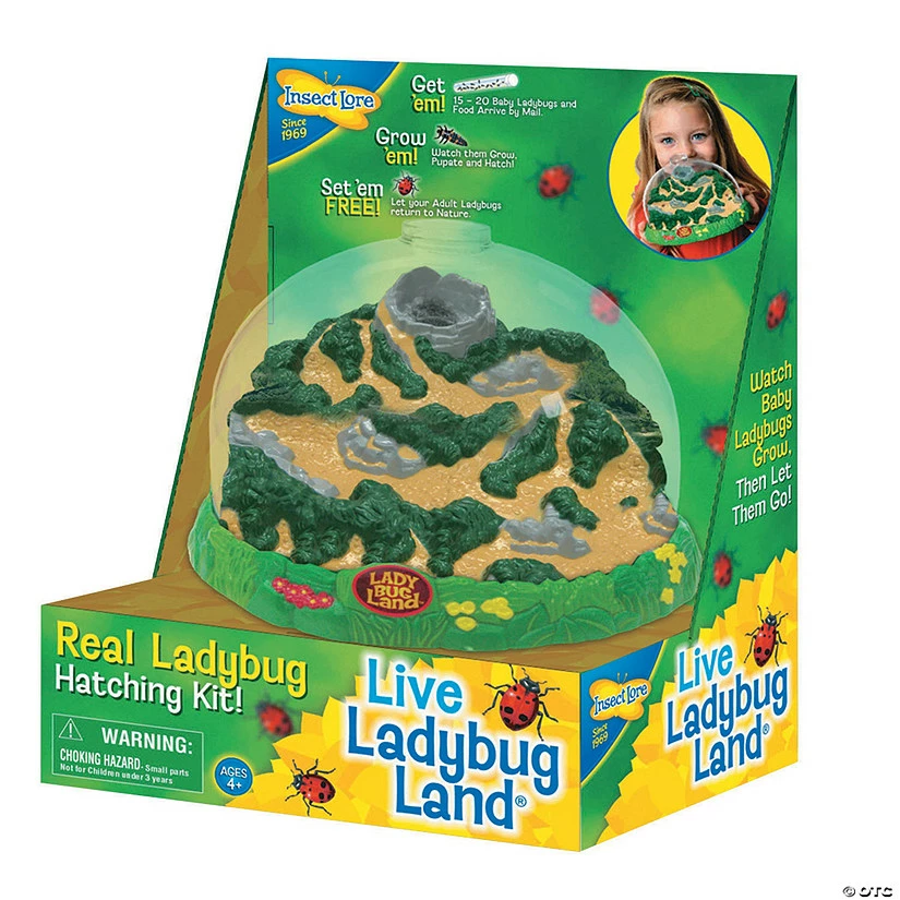 MW Ladybug Land