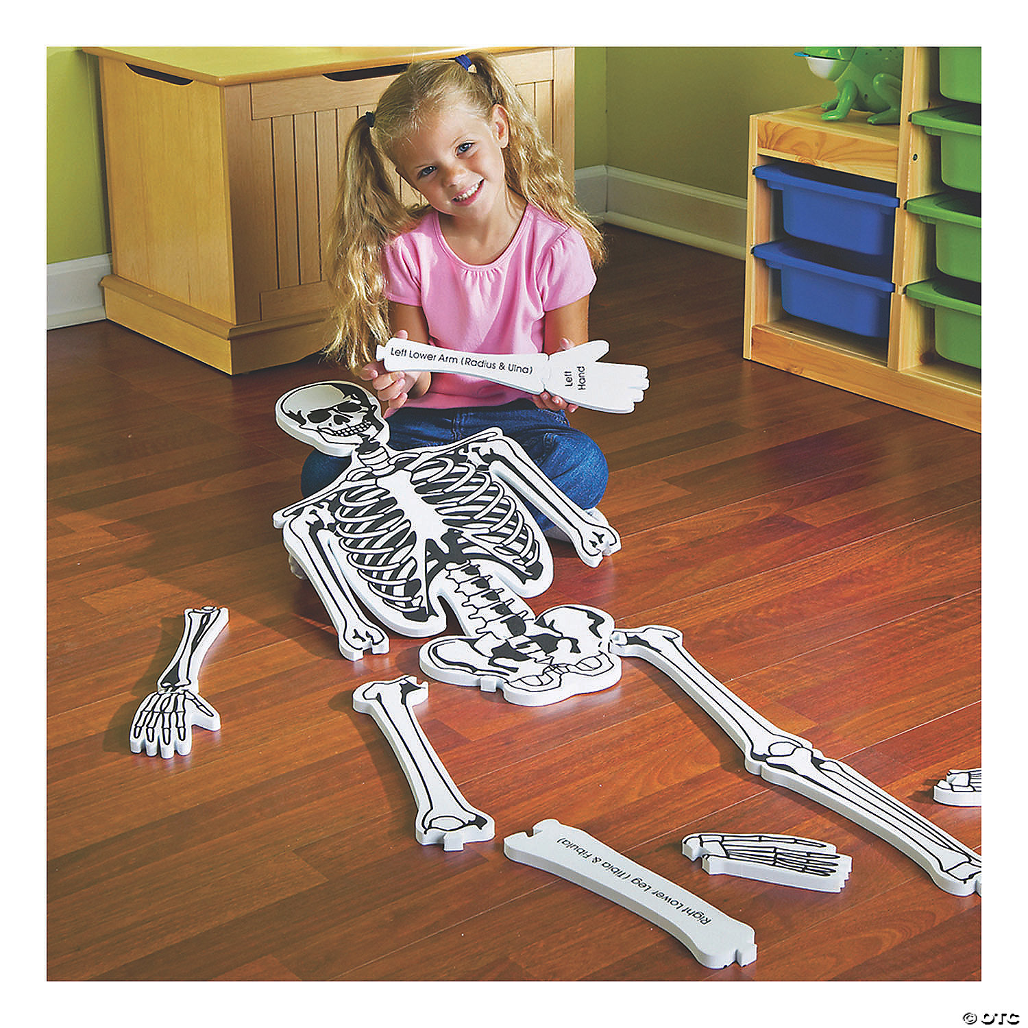 MW Learning Resources® Skeleton Foam Floor Jigsaw Puzzle 7 MW Learning Resources® Skeleton Foam Floor Jigsaw Puzzle - Image 5