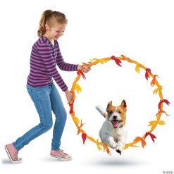 MW Make Your Own Doggy Day Camp   -MindWare SHOP make your own doggy day camp68454 a01