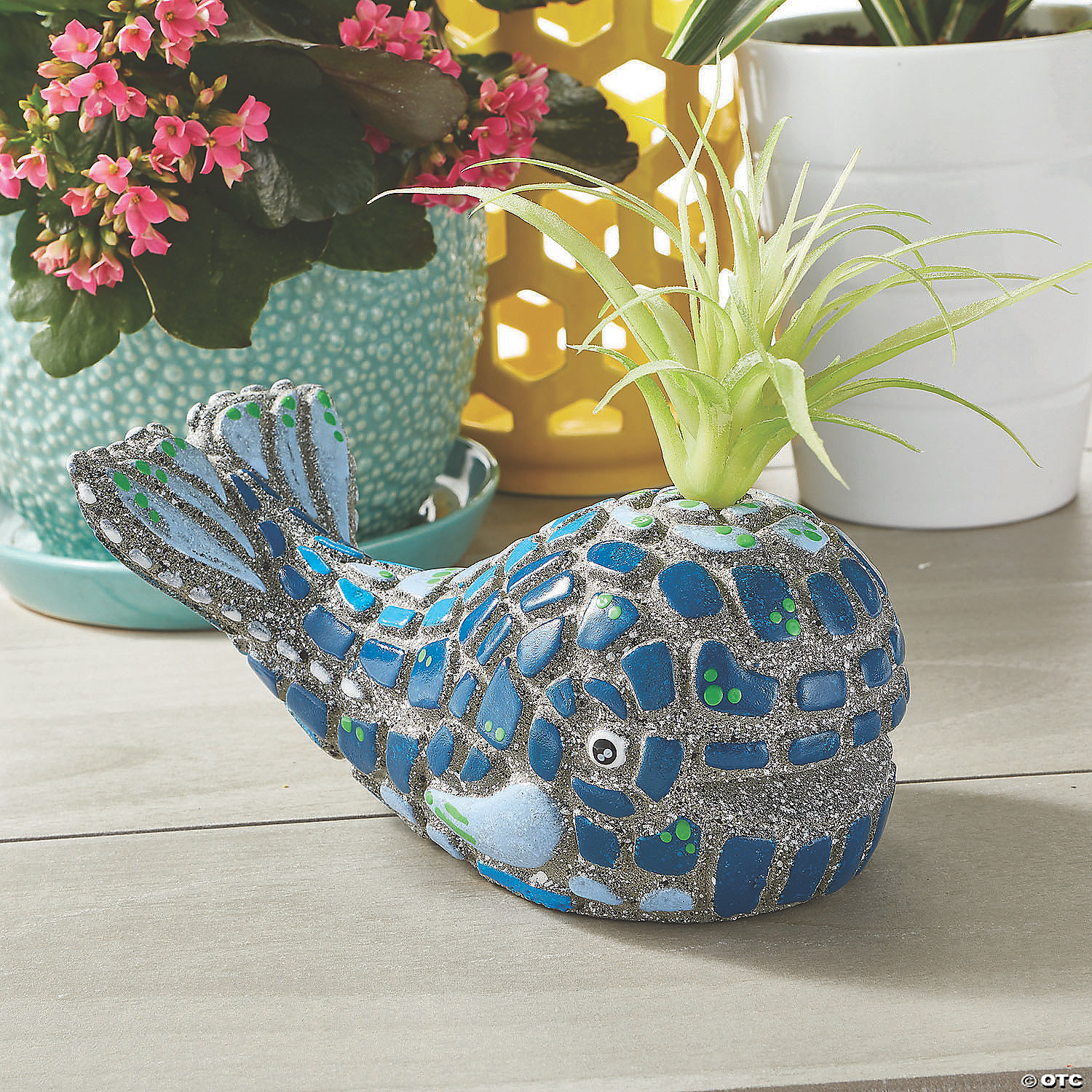 Paint Your Own Stone: Whale MW Paint Your Own Stone: Whale -MindWare SHOP paint your own stone whale13935640