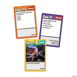 MW Science Trivia Challenge 4 MW Science Trivia Challenge -MindWare SHOP science trivia challenge13992115 a03