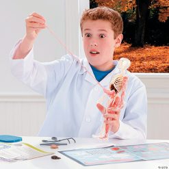 MW Squishy Human Body -MindWare SHOP squishy human body56164 a02