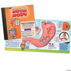 MW Squishy Human Body -MindWare SHOP squishy human body56164 a03