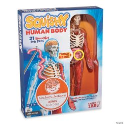 MW Squishy Human Body -MindWare SHOP squishy human body56164 a04